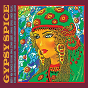 Gypsy Spice - Verschiedene Interpret:innen