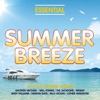 Radio Elvis A Little Less Conversation (JXL Radio Edit Remix) [Elvis Presley vs. JXL] Essential - Summer Breeze