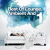 Best of Lounge, Ambient and Chill Out, Vol. 1 (The Luxus Selection of 20 Outstanding Relax Anthems)