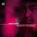 Babak Shayan feat. Melina