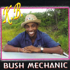 Bush Mechanic
