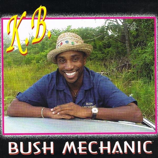 Bush Mechanic