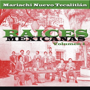 Raices Mexicanas, Vol. 1