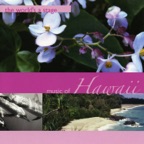 Honolulu March