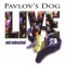 Episode - Pavlov's Dog lyrics