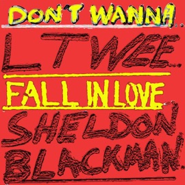 Don't Wanna Fall in Love (feat. Sheldon Blackman) Lt Wee