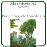 Brandenburgisches Konzert Nr. 6 B-Dur BWV 1051 - III. Allegro — Baroque Studio Orchestra & Karel Brazda