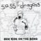 Rude Kitty - Sass Dragons lyrics