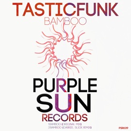 Bamboo (Gabriel Slick Remix) TasticFunk