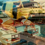 The Psychic Paramount - Echoh Air