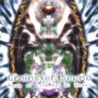 We Will Be Our Aliens — Grains of Sound