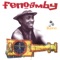 Ravo - Fenoamby lyrics