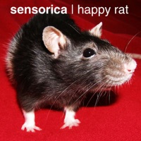 Happy Rat - Single - Sensorica