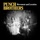 Punch Brothers - Movement and Location
