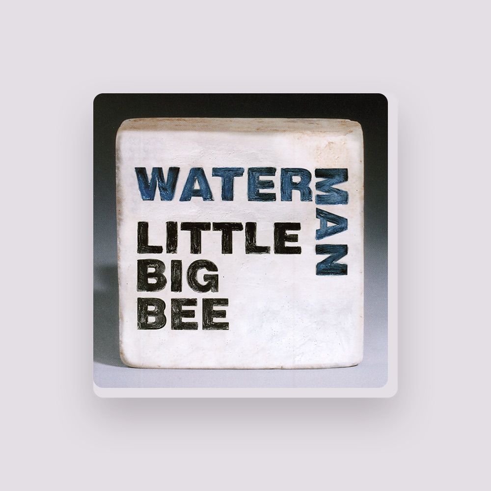 Фото Little Big Bee