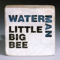 Little Big Bee - High Clouds
