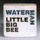 Little Big Bee - High Clouds