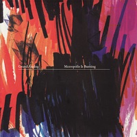 Grand Analog - I Play My Kazoo