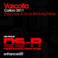 Calibro 2011 - Single - Vascotia