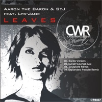 Leaves (feat. Lys-Jane) - EP - Aaron The Baron & STJ