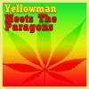 Yellowman Meets The Paragons, 2010