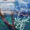 Kingfisher Sky