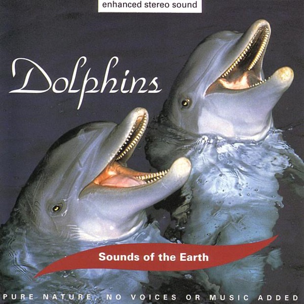 Dolphins: Above the Waves