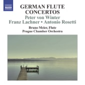 Flute Concerto In D Minor artwork