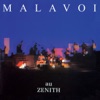 Malavoi au Zénith (Live)