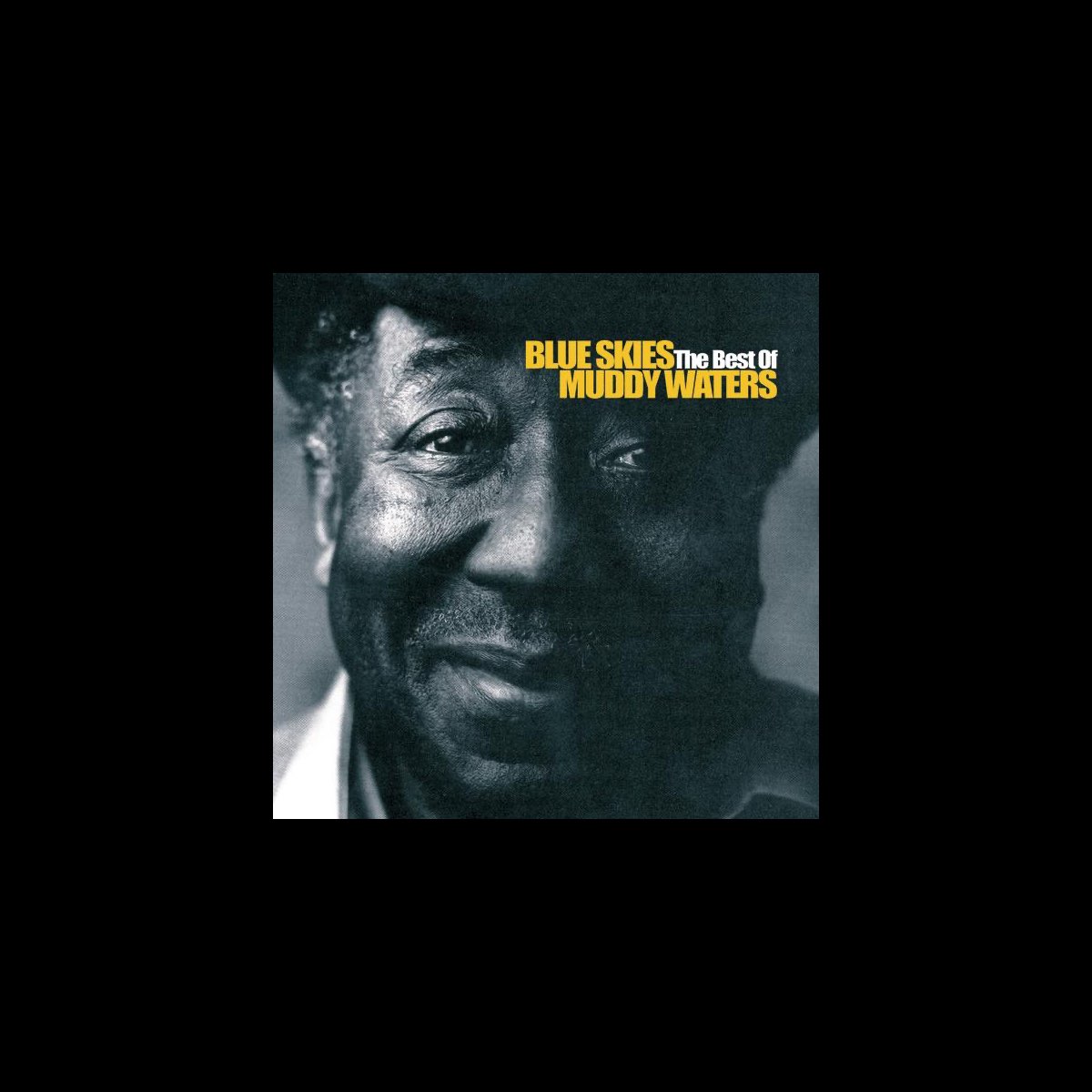 Blue skies the best of muddy waters muddy waters apple music