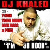 I'm So Hood (feat. T-Pain, Trick Daddy, Rick Ross & Plies) artwork