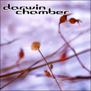 Stubborn Butterfly - Darwin Chamber