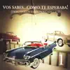Los Amigos Invisibles - Mal Bicho