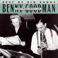How Deep Is the Ocean? (feat. Peggy Lee)