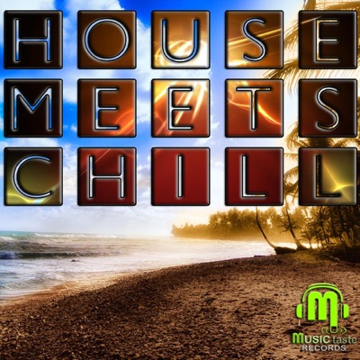 House Meets Chill Vol 1