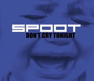 baixar álbum Download Spoot - Dont Cry Tonight album