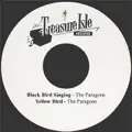 Black Bird