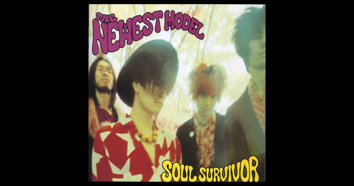 ニューエスト・モデル SOUL SURVIVOR レコード 送料込み SOUL SURVIVOR