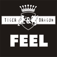 Feel - Tiger & Dragon