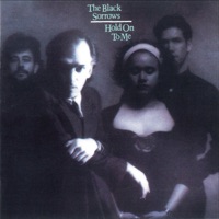 The Black Sorrows - Hold On to Me