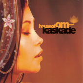 House of OM: Kaskade