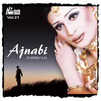 Tu Cheti Ghar Aaja Dholna — Naseebo Lal & Pakistani Sad Songs