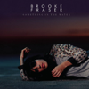 Something In the Water - Brooke Fraser
