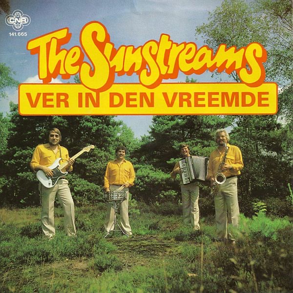 Ver In Den Vreemde artwork