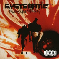 Pleasure to Burn - Systematic