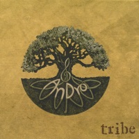 Tribe - Andro