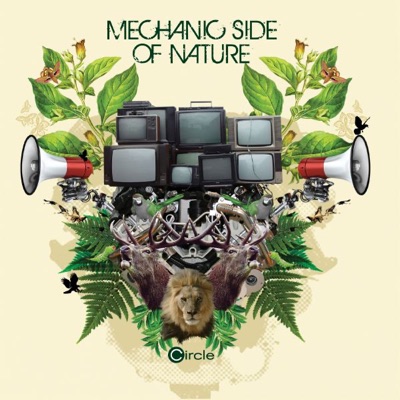 Mechanic Side of Nature