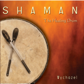 Shaman - The Healing Drum