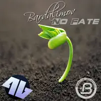Fate (Original Mix) — Bardalimov