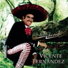Vicente Fernández - Borracho Te Recuerdo ilustración